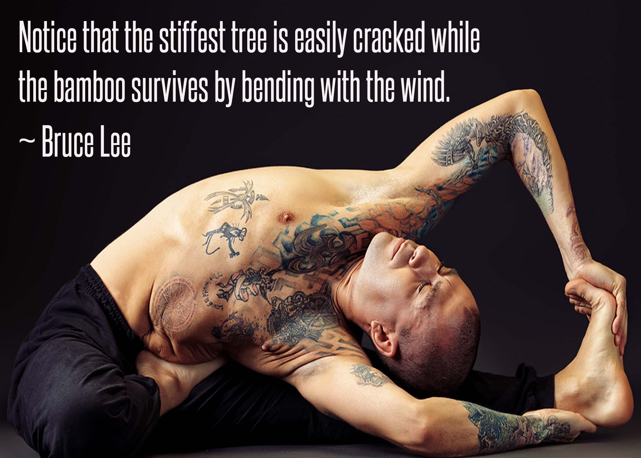 Notice that the stiffest tree is most easily cracked, while the bamboo or willow survives by bending with the wind. Bruce Lee