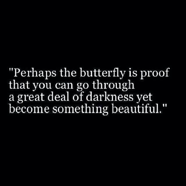 Perhaps the butterfly is proof that you can go through a great deal of darkness yet become something beautiful