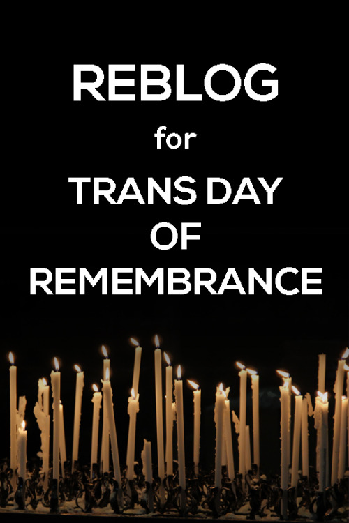 Reblog For Trans Day Of Remembrance