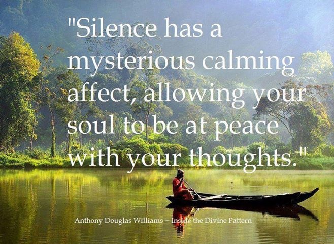 Silence has a mysterious calming affect, allowing your soul to be at peace with your thoughts. Anthony Douglas Williams
