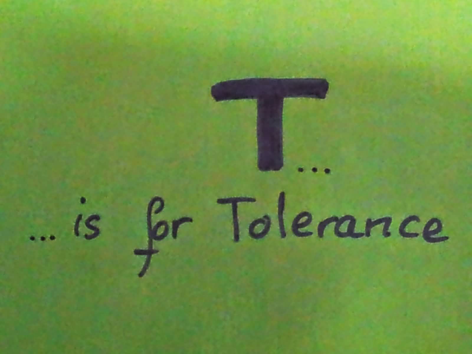 T Is For Tolerance International Day For Tolerance
