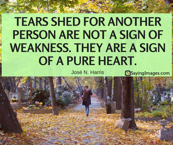 Tears shed for another person are not a sign of weakness. They are a sign of a pure heart. José N. Harris