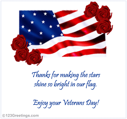 Thanks For Making The Stars Shine So Bright In Our Flag. Enjoy Your Veterans Day