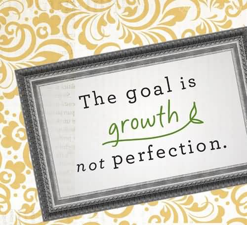 The Goal Is Growth Not Perfection