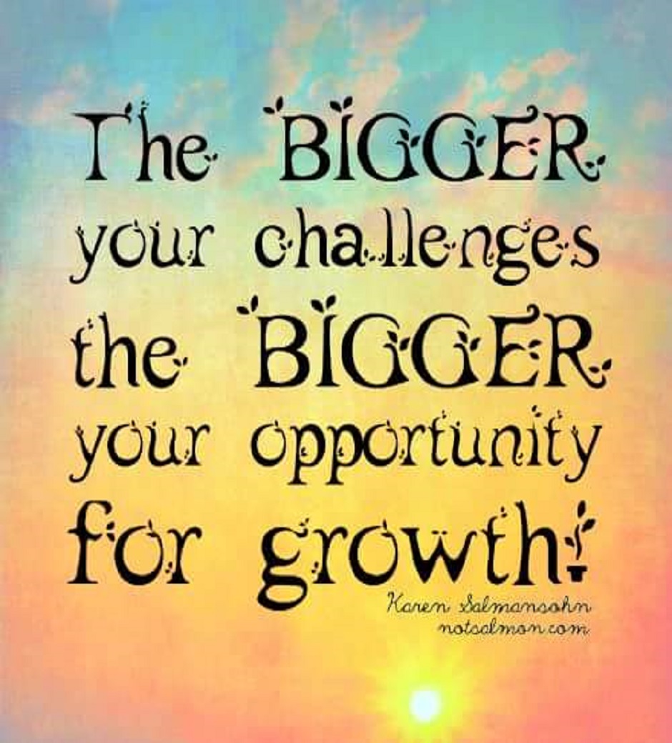 The bigger your challenges the bigger your opportunity for growth. Karen Salmansohn
