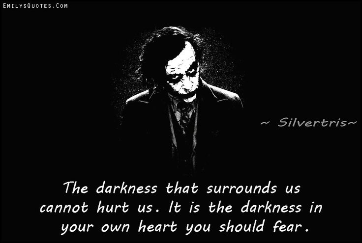 The darkness that surrounds us cannot hurt us. It is the darkness in your own heart you should fear. Silvertris