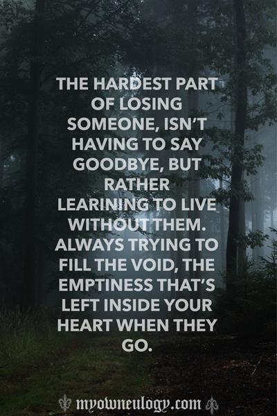 The hardest part of losing someone, isn't having to say goodbye, but rather learning to live without them. Always trying to fill the void, the emptiness that's left inside...
