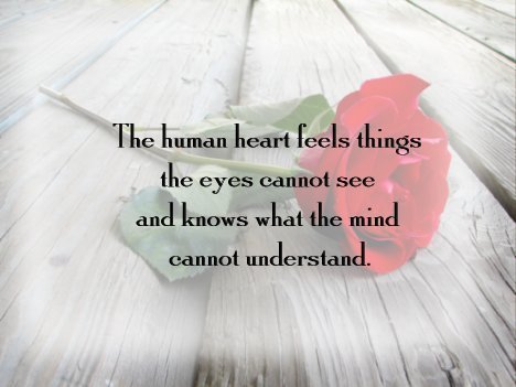 The human heart feels things the eyes cannot see, and knows what the mind cannot understand