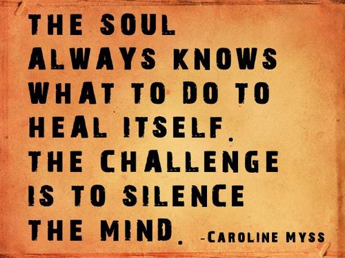 The soul always knows what to do to heal itself. The challenge is to silence the mind. Caroline Myss