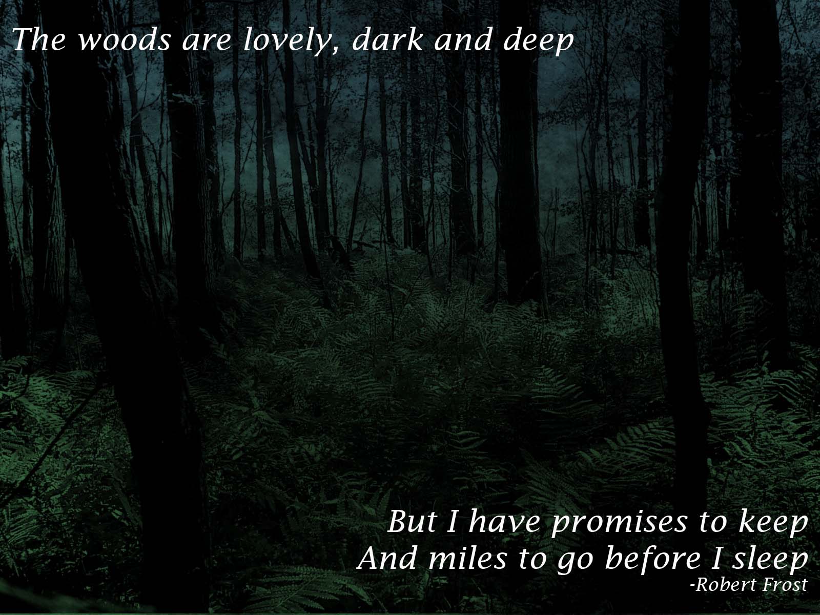 The woods are lovely, dark and deep. But I have promises to keep, and miles to go before I sleep. Robert Frost