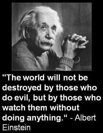 The world will not be destroyed by those who do evil, but by those who watch them without doing anything. Albert Einstein