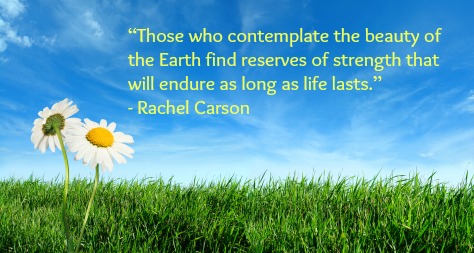 Those who contemplate the beauty of the earth find reserves of strength that will endure as long as life lasts. Rachel Carson
