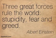 Three great forces rule the world stupidity, fear and greed. Albert Einstein