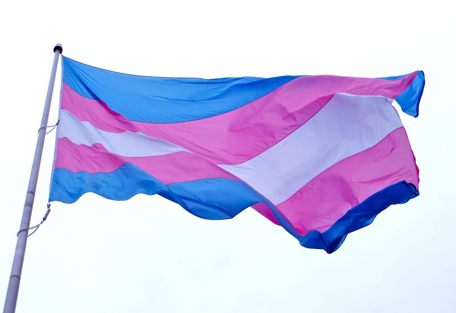 Transgender Day Of Remembrance Flag