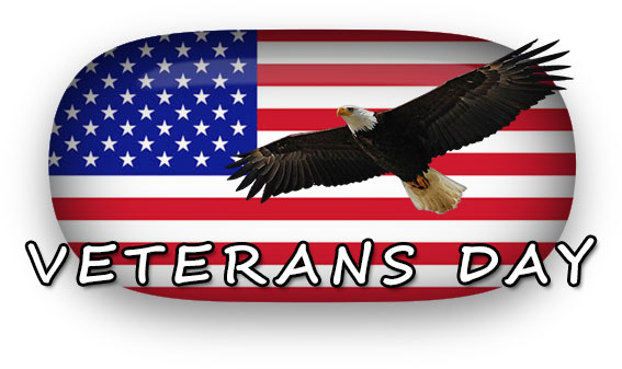 Veterans Day American Flying Eagle And Flag Picture