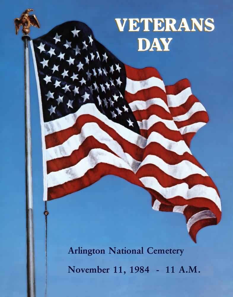 Veterans Day Arlington National Cemetery November 11