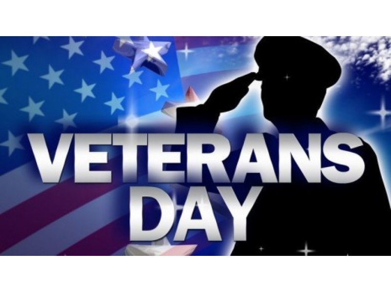 Veterans Day Saluting American Soldier Picture