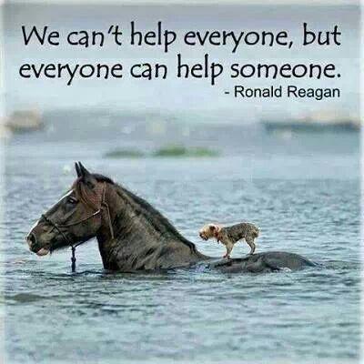 We can't help everyone, but everyone can help someone. Ronald Reagan