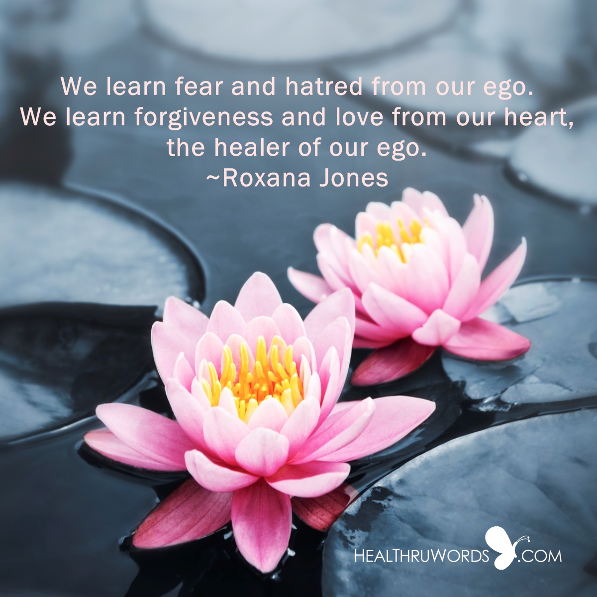 We learn fear and hatred from out ego. We learn forgiveness and love from our heart, the healer of our ego. Roxana Jones