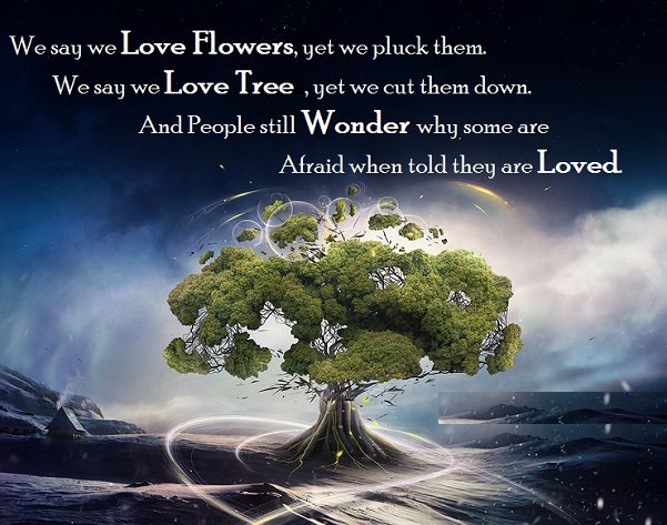 We say we love flowers, yet we pluck them. We say we love trees, yet we cut them down. And people still wonder why some are afraid when told they are loved.