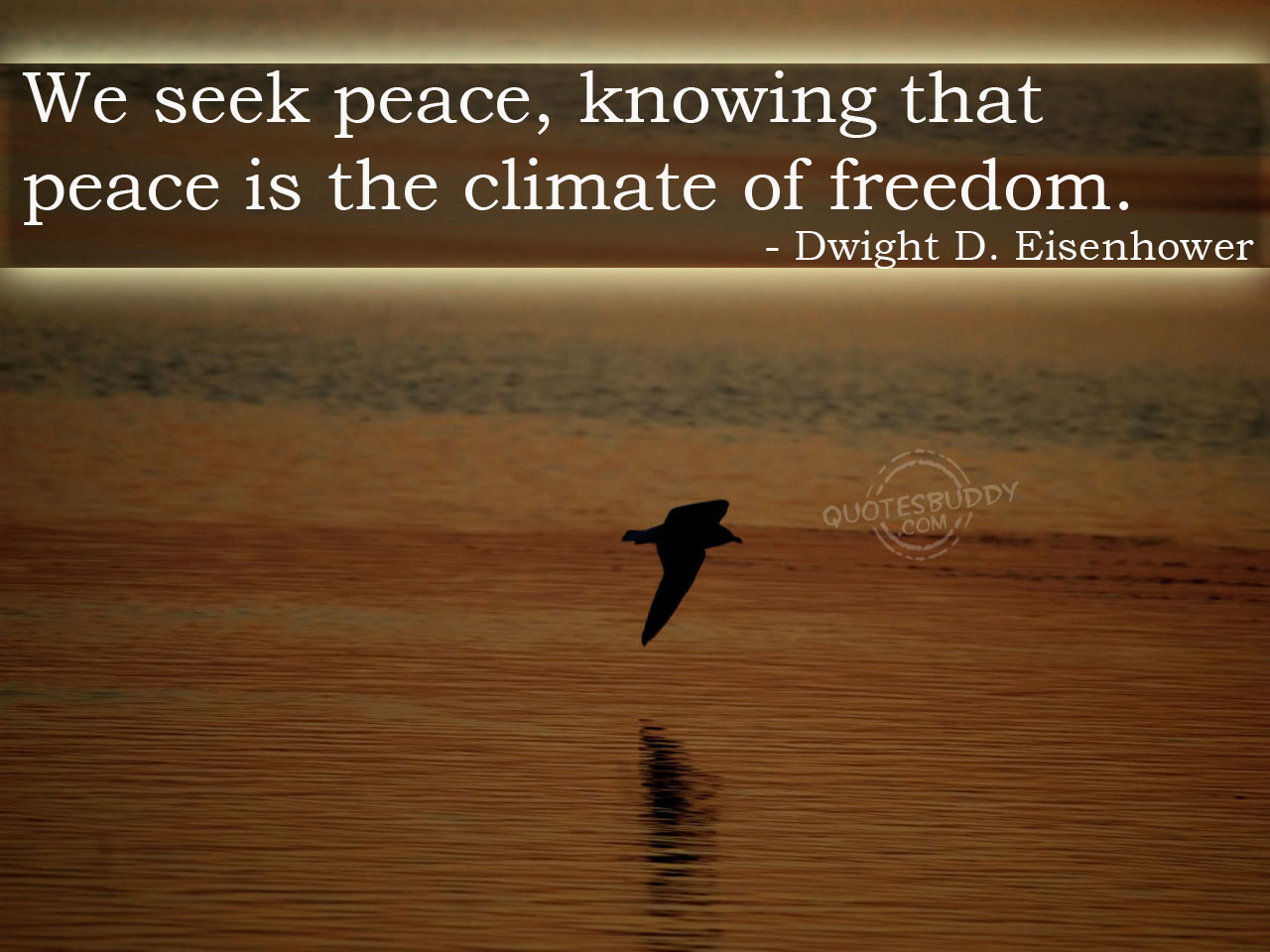 We seek peace, knowing that peace is the climate of freedom. Dwight D. Eisenhower