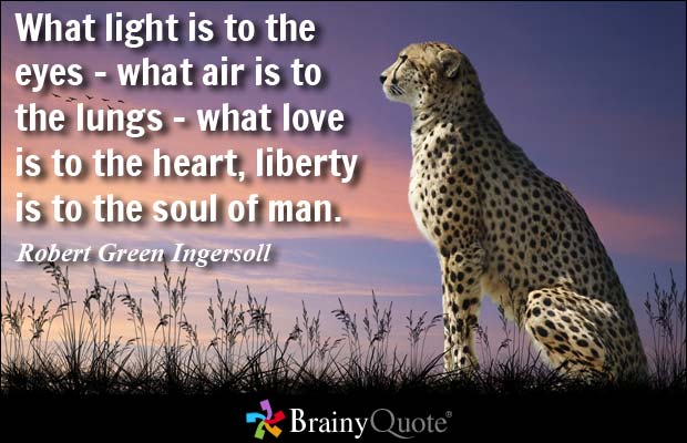 What light is to the eyes - what air is to the lungs - what love is to the heart, liberty is to the soul of man. Robert Green Ingersoll