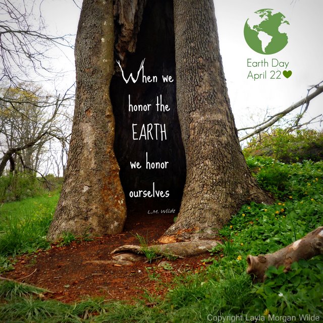 When we honor the earth we honor ourselves. L.M. Wilde