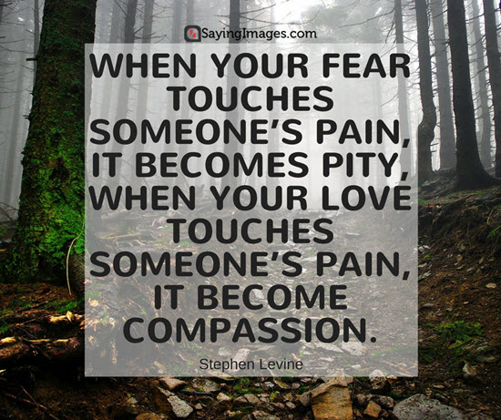 When your fear touches someone's pain, it becomes pity, when your love touches someone's pain, it become compassion. Stephen Levine