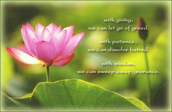 With giving, we can let go of greed. With patience, we can dissolve hatred. With wisdom, we can sweep away ignorance