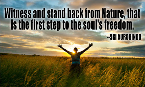 Witness and stand back from Nature, that is the first step to the soul's freedom. Sri Aurobindo