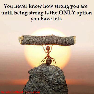 You never know how strong you are until being strong is the only option you have left