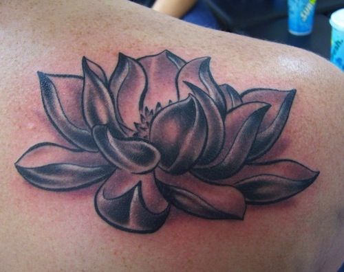 Black Ink Lotus Flower Tattoo On Right Back Shoulder