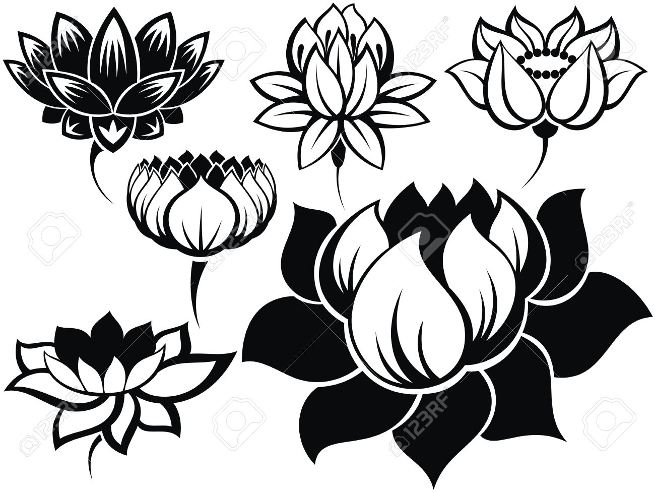 Black Six Lotus Flowers Tattoo Design