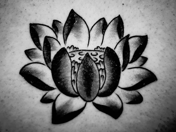 Wonderful Black And White Lotus Tattoo Design