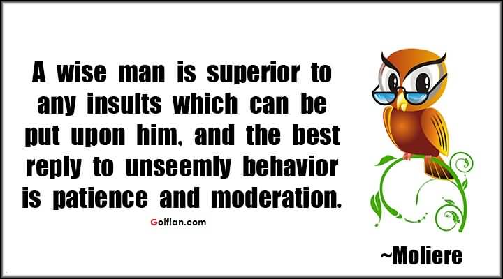 A wise man is superior to any insults which can be put upon him, and the best reply to unseemly behavior is patience and moderation. Moliere