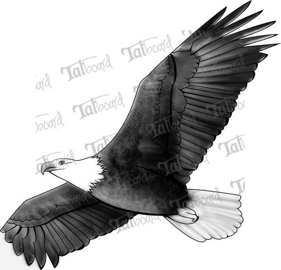 Amazing Black Ink Flying Eagle Tattoo Design
