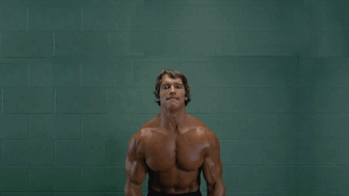 Arnold Exercise With Cats Funny Gif