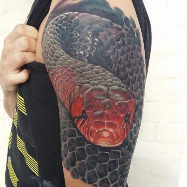 Attractive 3D Realistic Snake Tattoo On Man Left Half Sleeve