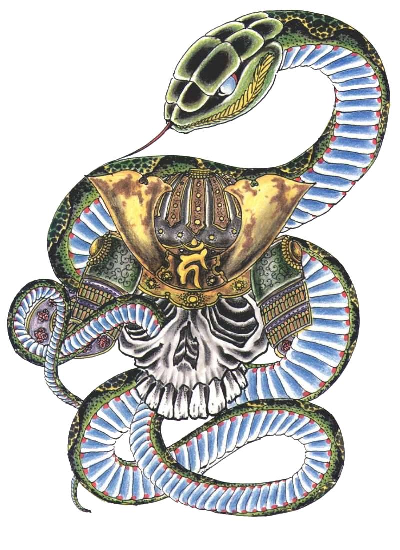 Attractive Chinese Snake In Skull Tattoo Design