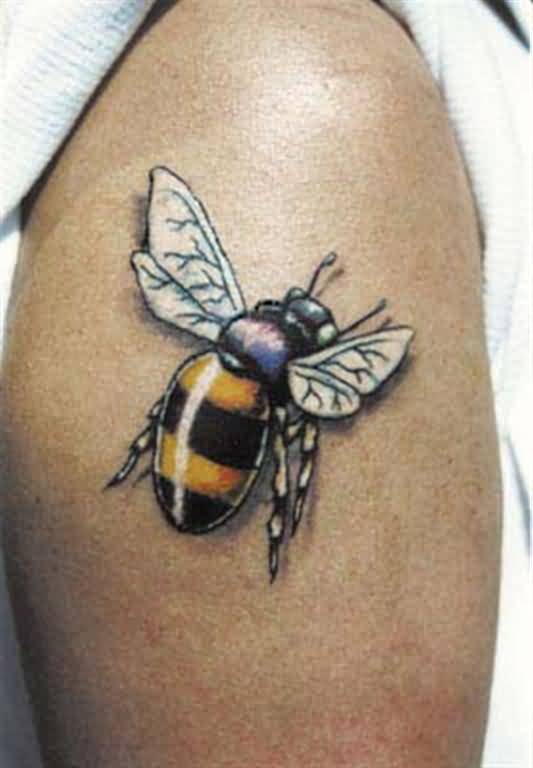Attractive Realistic Bumblebee Tattoo Design For Shoulder