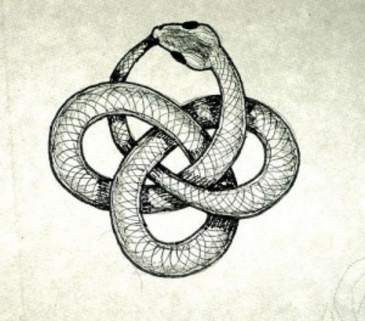 Awesome Black Ink Snake Tattoo Design