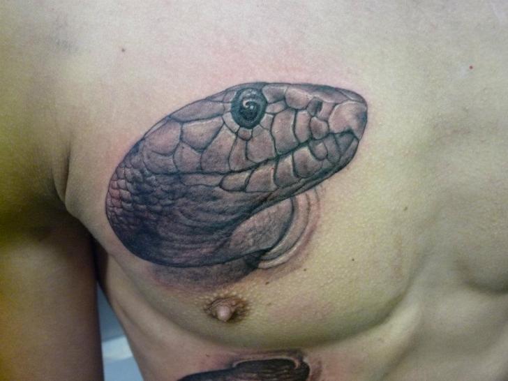 Awesome Grey Ink Realistic 3D Snake Tattoo On Man Right Chest