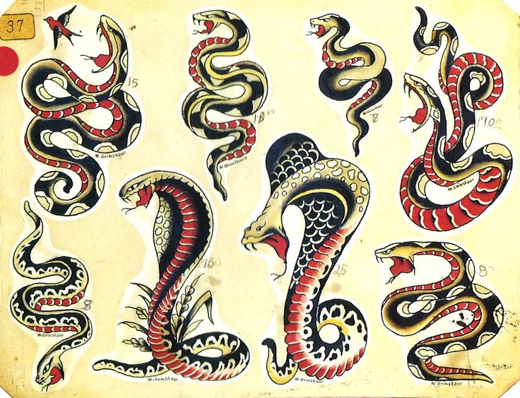 Awesome Traditional Snakes Tattoo Flash