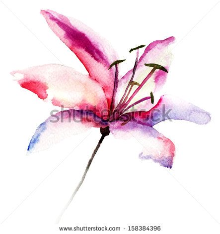 Awesome Watercolor Lily Tattoo Design