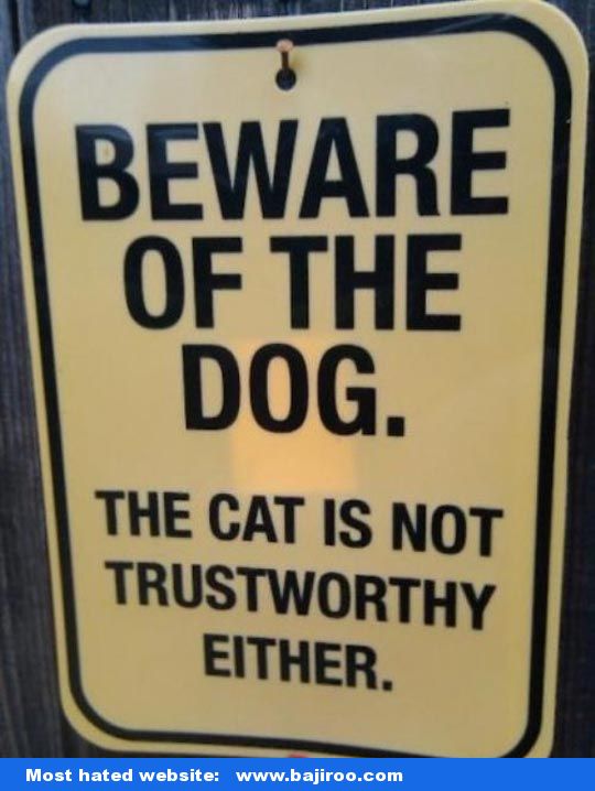 Beware Of The Dog. The Cat Is Not Trustworthy Either Funny Sign