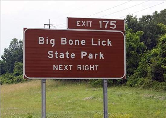 Big Bone Lick State Park Next Right Funny Sign