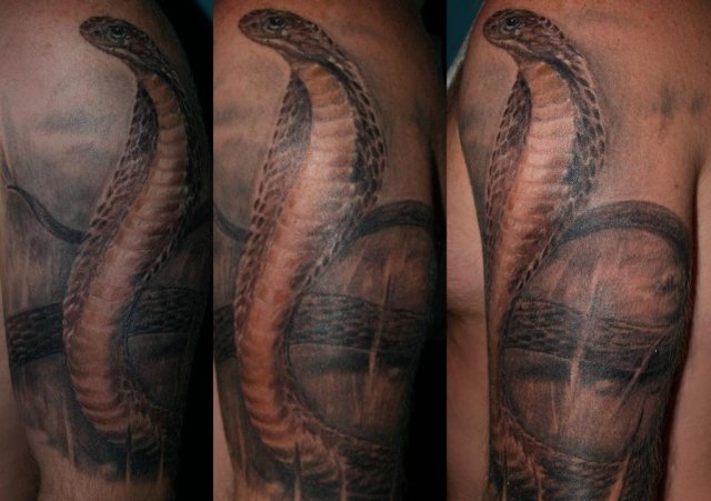 Black And Grey Cobra Snake Tattoo On Left Half Sleeve