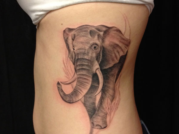 Black And Grey Elephant Tattoo On Girl Left Side Rib