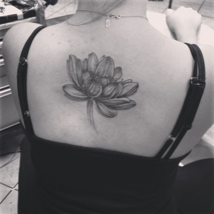 Black And Grey Lotus Flower Tattoo On Girl Upper Back