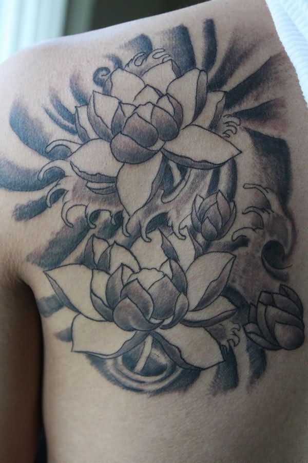 Black And Grey Lotus Flowers Tattoo On Man Left Back Shoulder